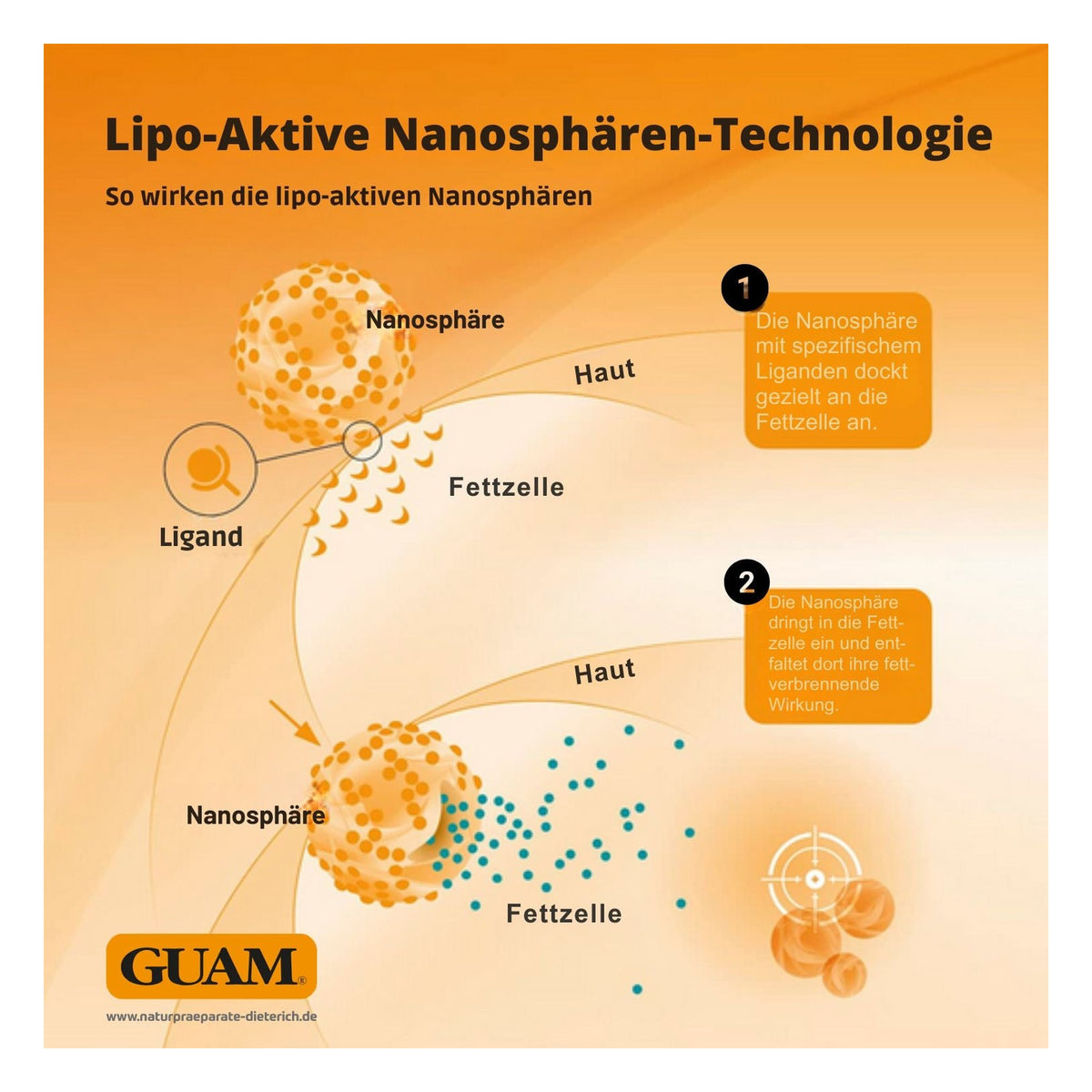 GUAM straffende Intensiv-Creme für Gesäß und Oberschenkel 200 ml